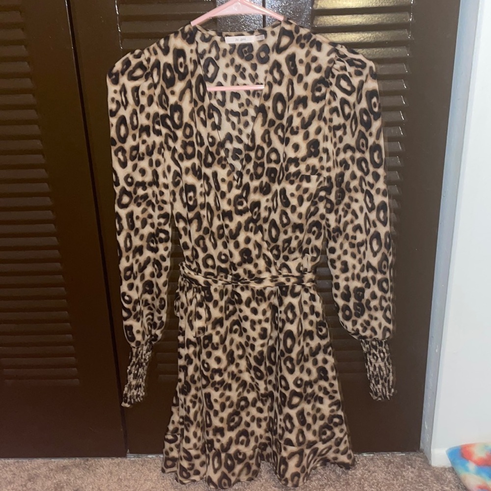 Long sleeved cheetah dress